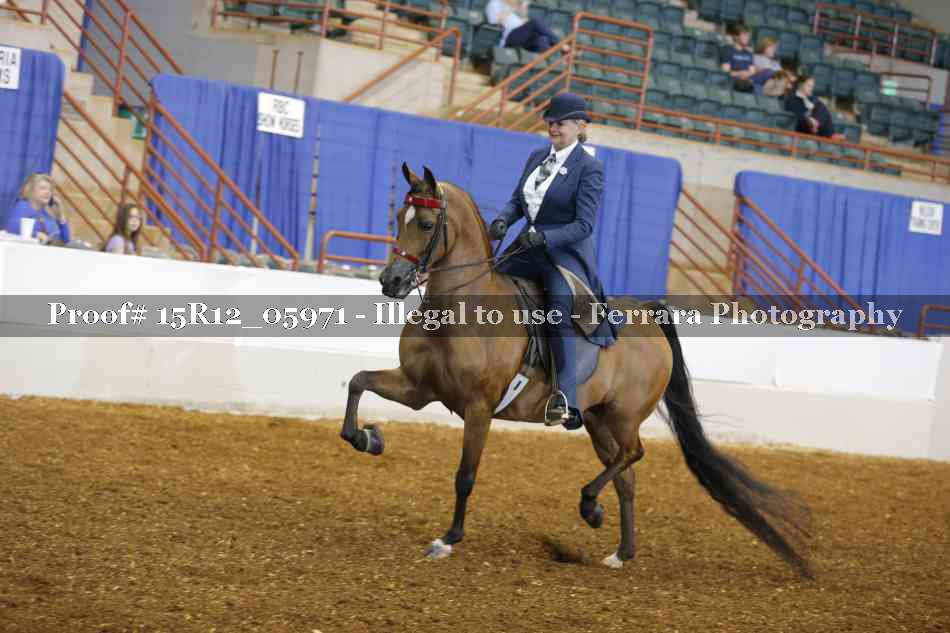 Proof 15R12_05971