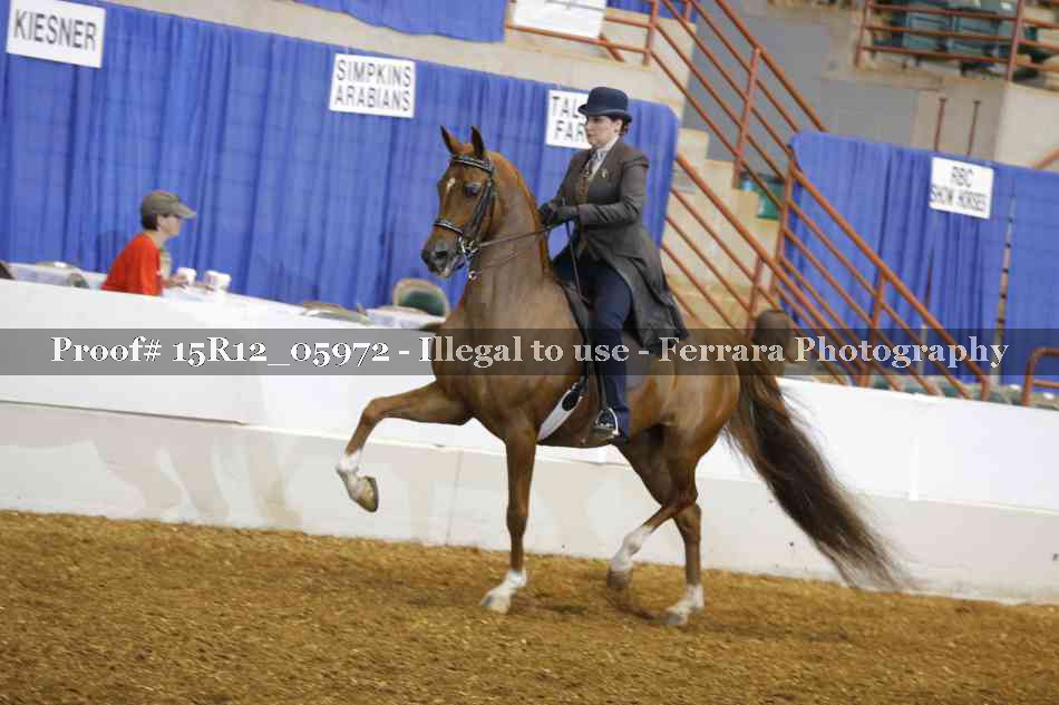 Proof 15R12_05972