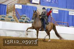 15R12_05973 proof