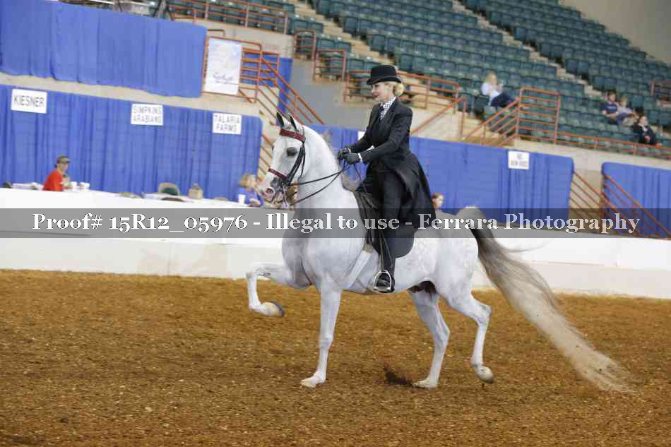 Proof 15R12_05976