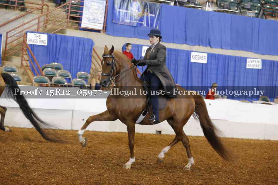 Proof 15R12_05977