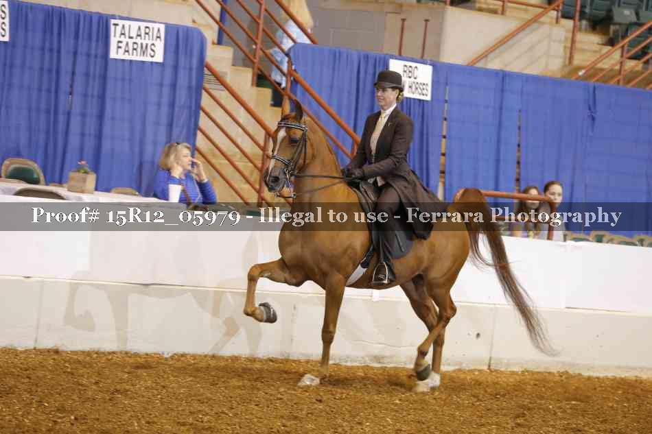 Proof 15R12_05979