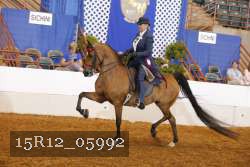 15R12_05992 proof