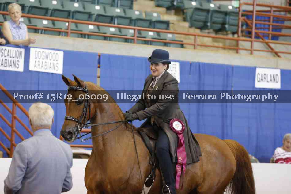 Proof 15R12_06009