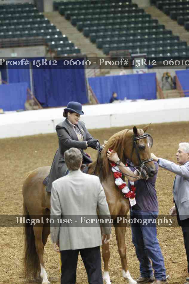 Proof 15R12_06010