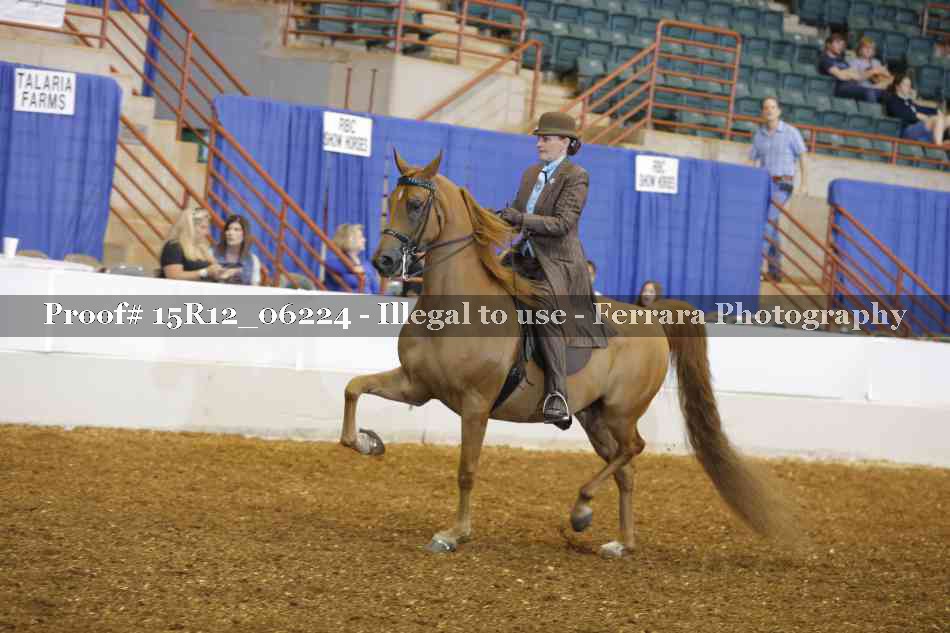 Proof 15R12_06224