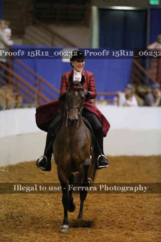 Proof 15R12_06232