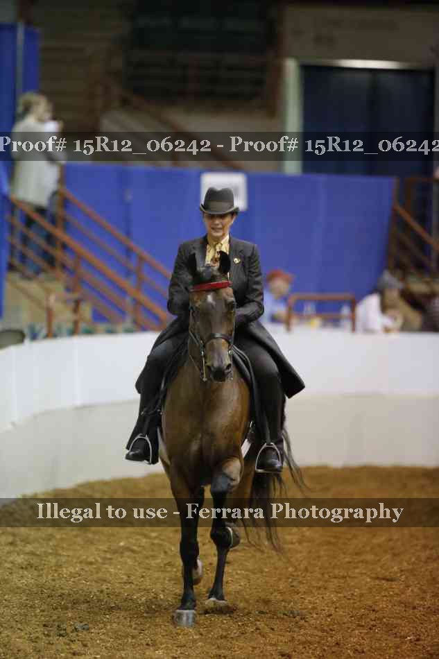 Proof 15R12_06242