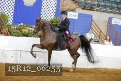 15R12_06255 proof