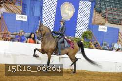 15R12_06264 proof