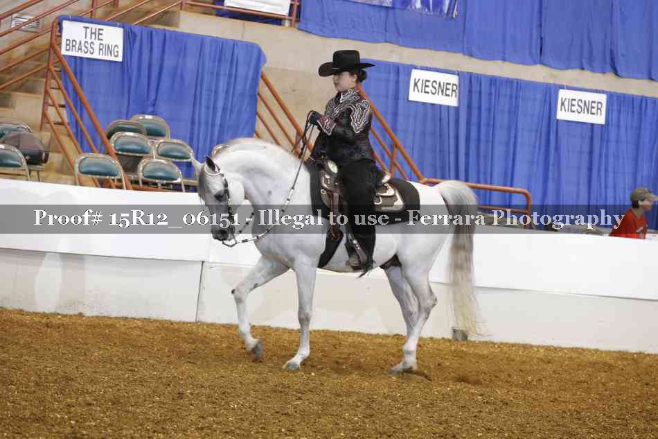 Proof 15R12_06151