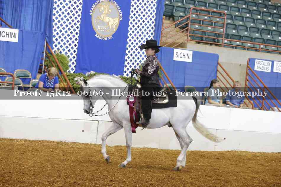 Proof 15R12_06166