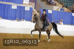 15R12_06313 proof