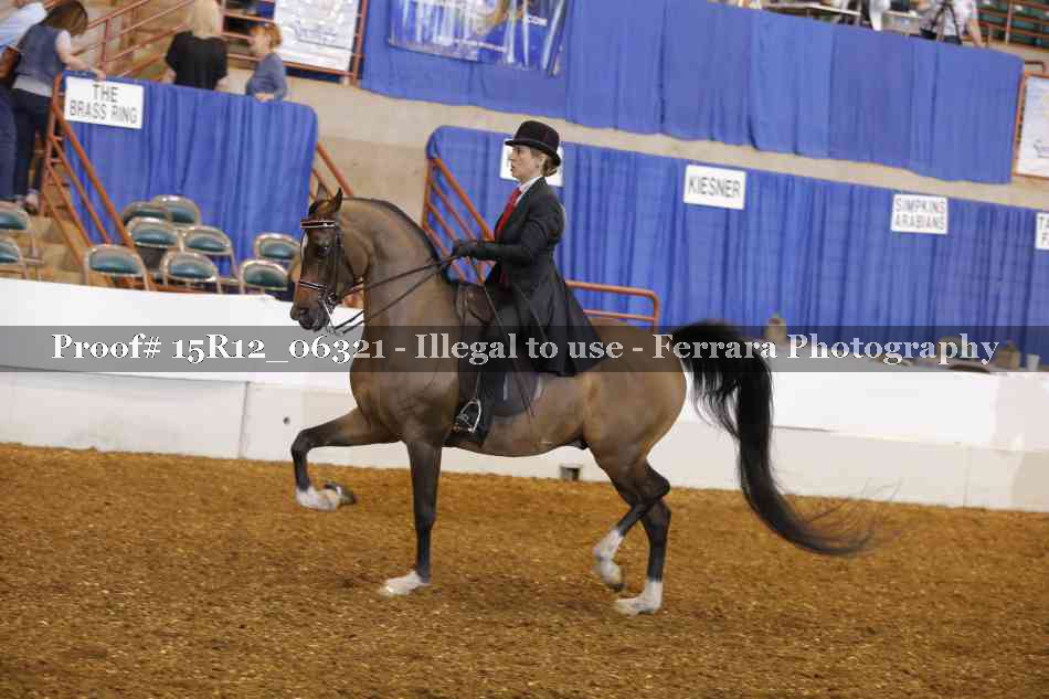 Proof 15R12_06321
