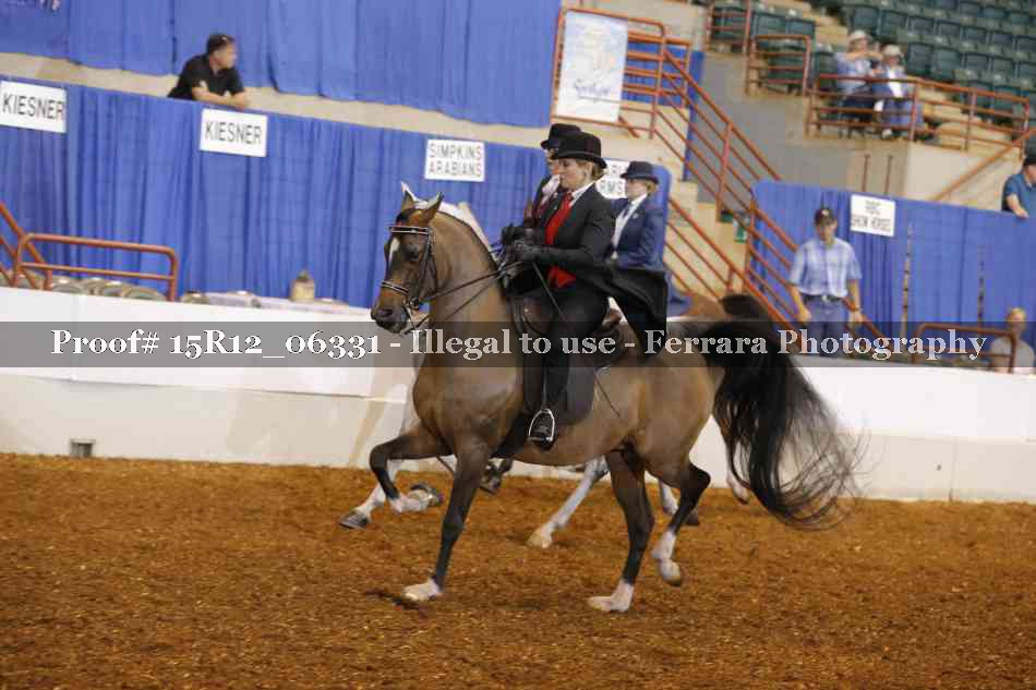 Proof 15R12_06331