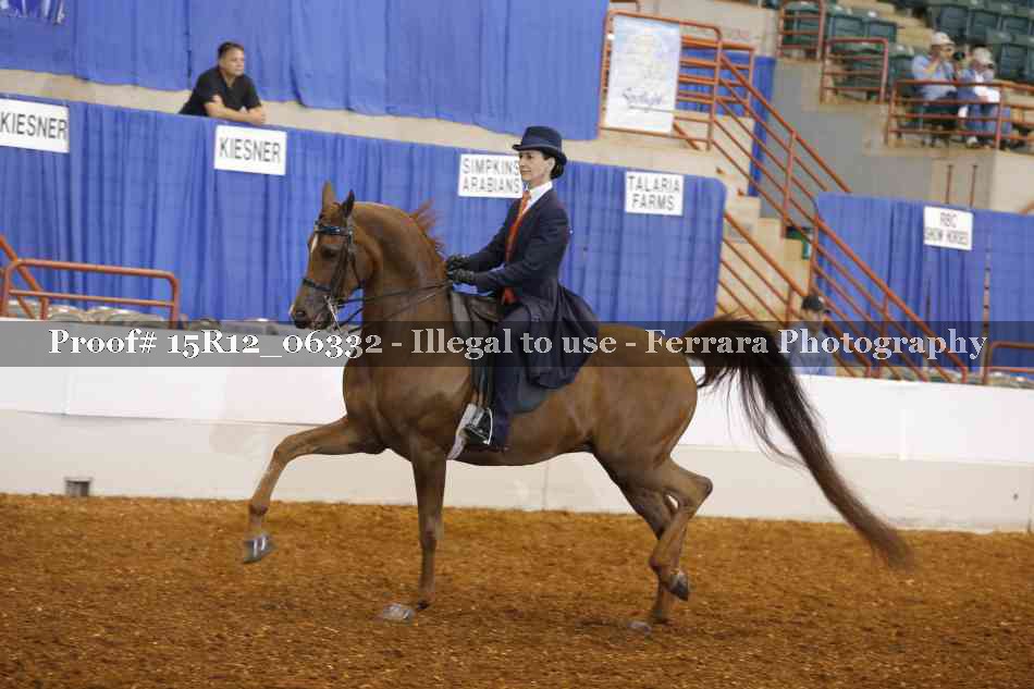 Proof 15R12_06332