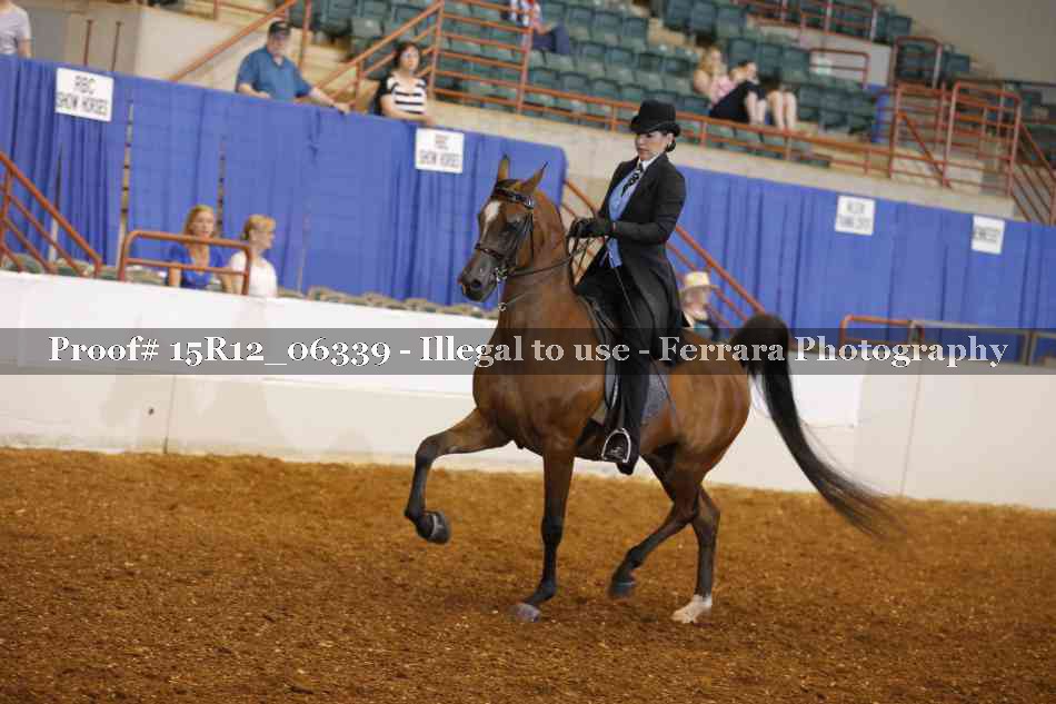Proof 15R12_06339