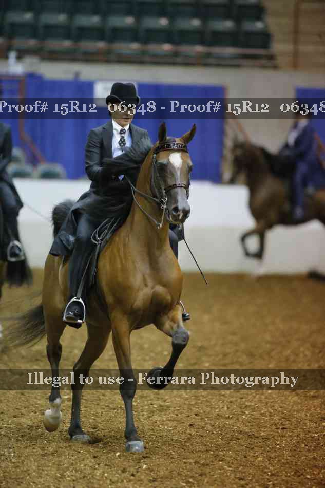 Proof 15R12_06348