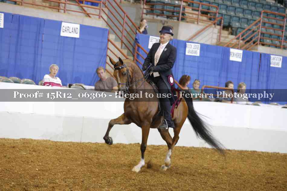 Proof 15R12_06366
