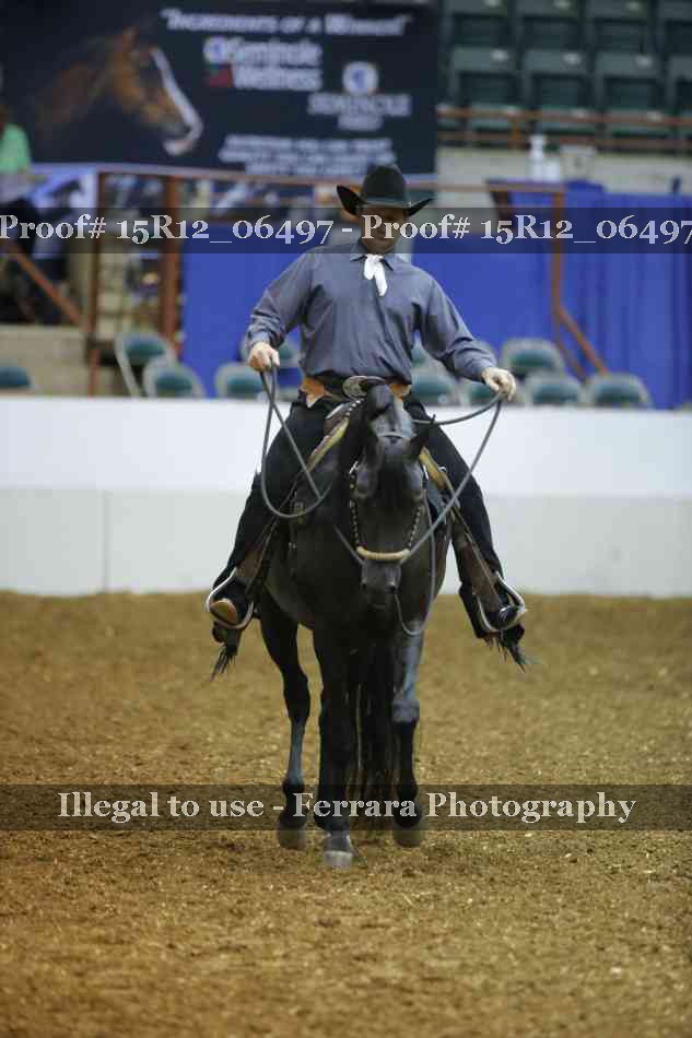 Proof 15R12_06497
