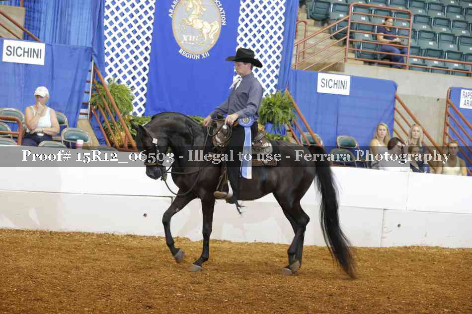 Proof 15R12_06503