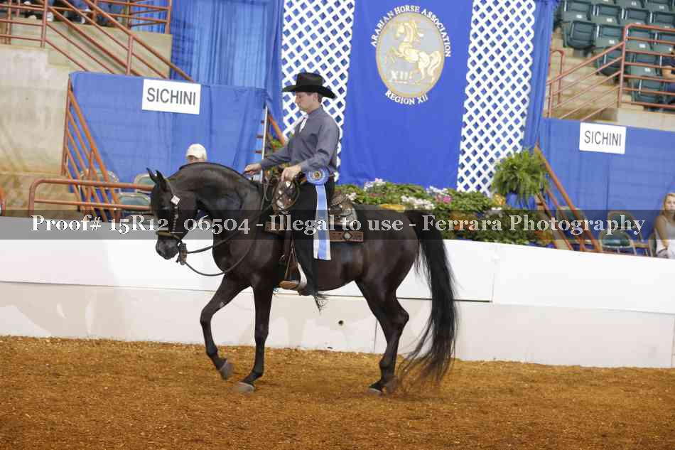 Proof 15R12_06504