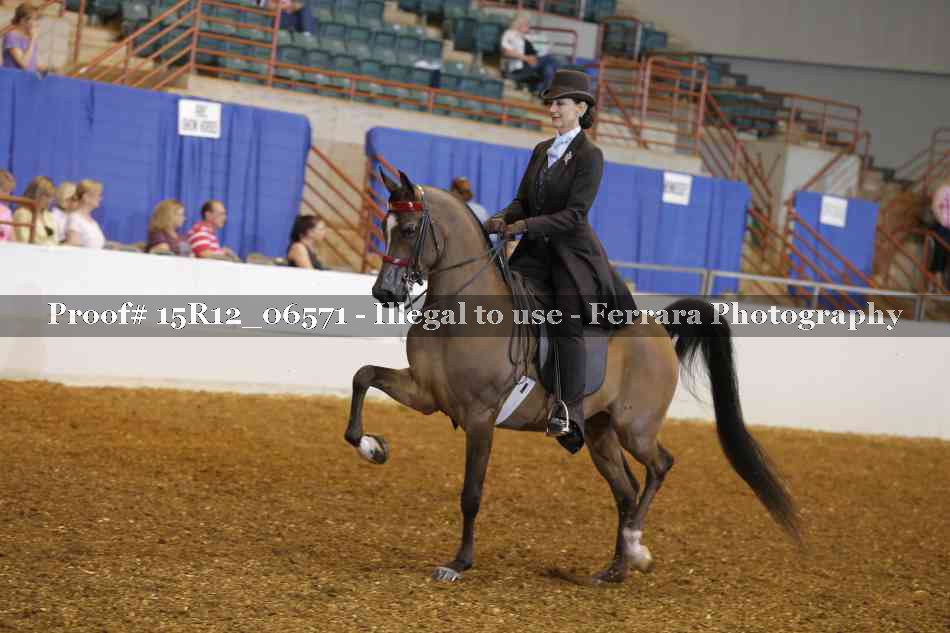 Proof 15R12_06571