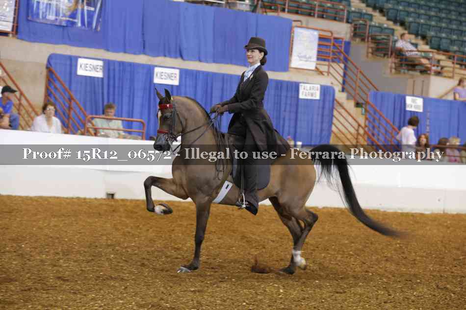 Proof 15R12_06572