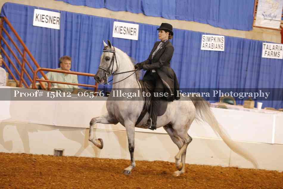 Proof 15R12_06576