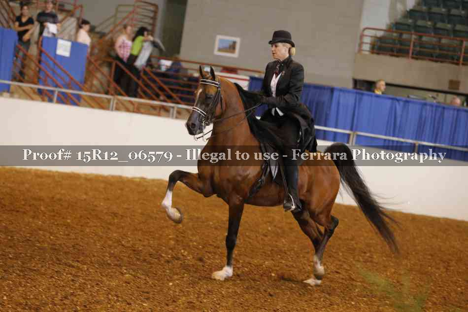 Proof 15R12_06579