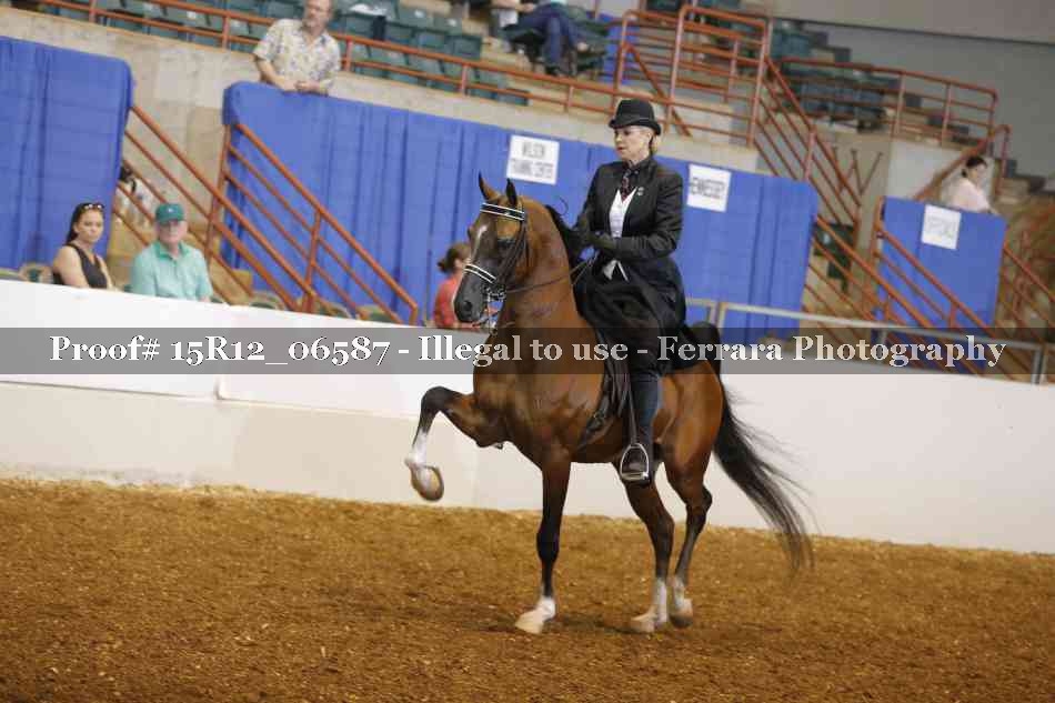 Proof 15R12_06587