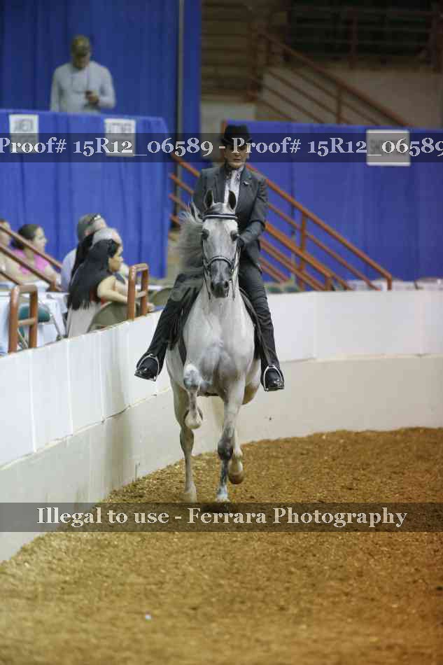 Proof 15R12_06589