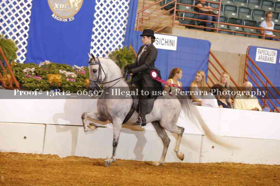 Proof 15R12_06597