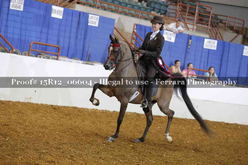 Proof 15R12_06604