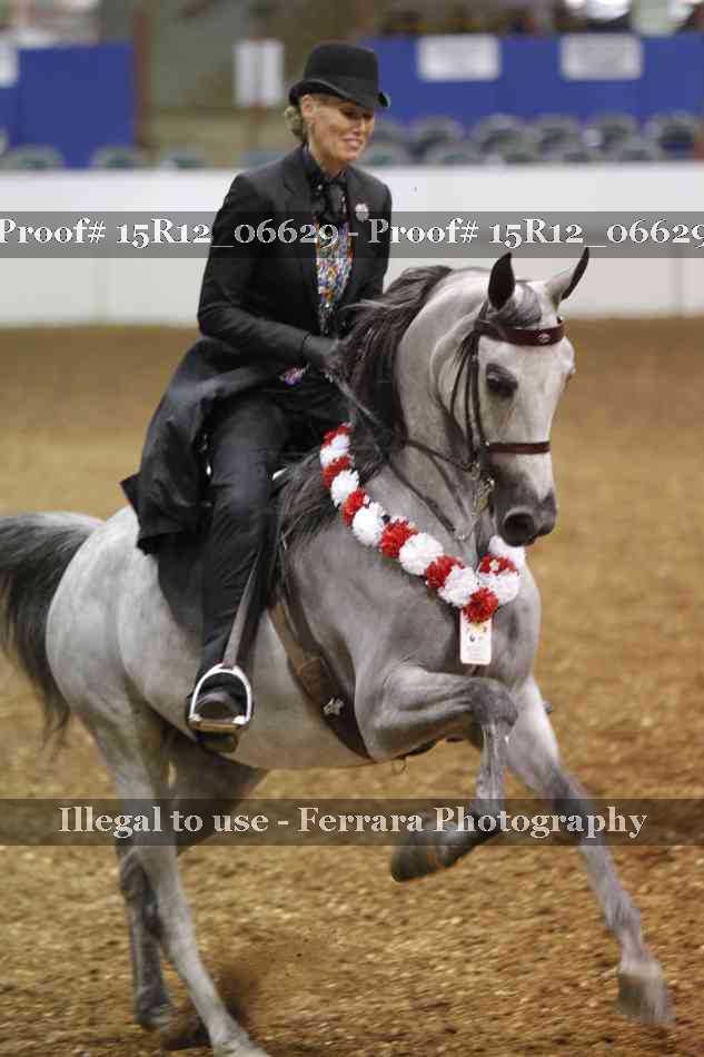 Proof 15R12_06629