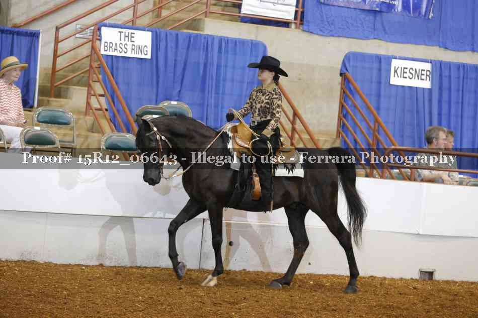 Proof 15R12_06643