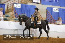 15R12_06643 proof