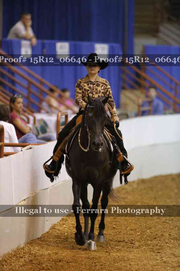 Proof 15R12_06646
