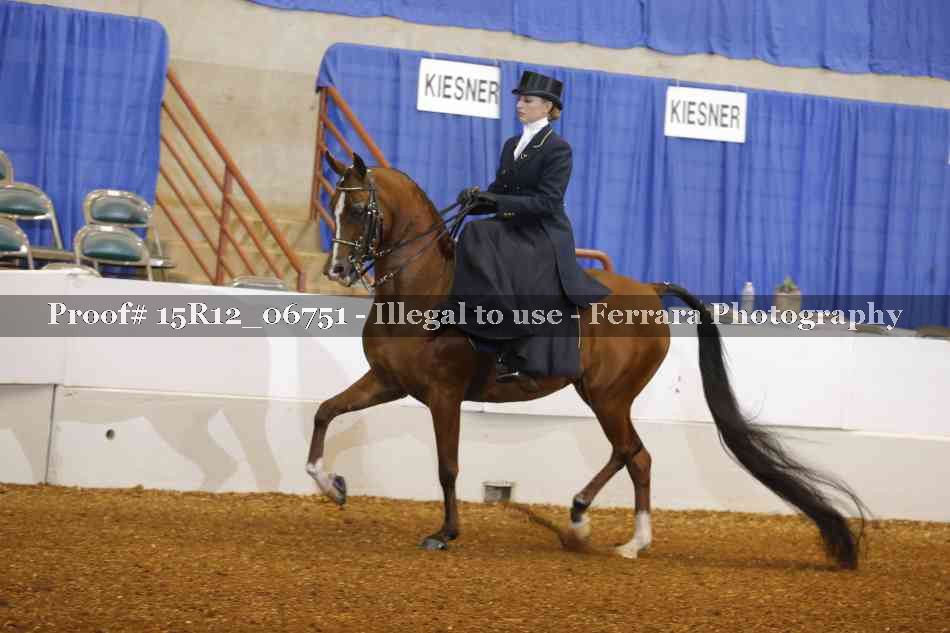 Proof 15R12_06751