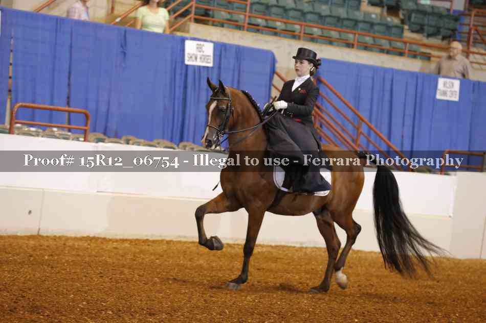 Proof 15R12_06754