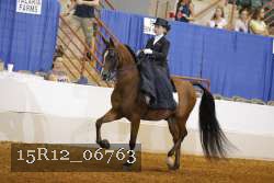 15R12_06763 proof