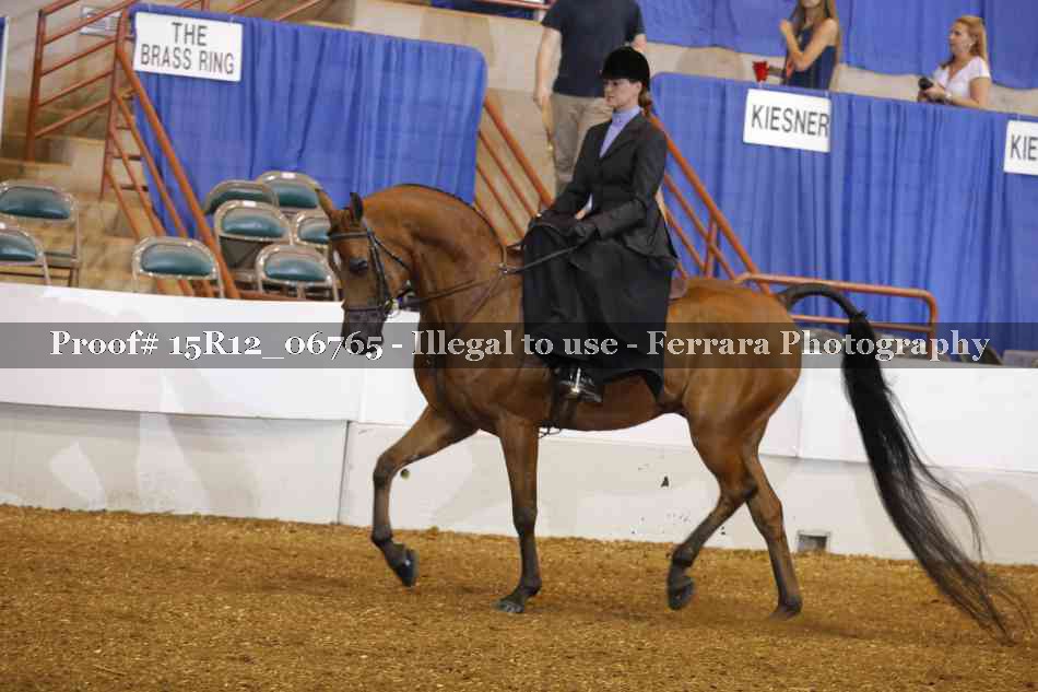 Proof 15R12_06765