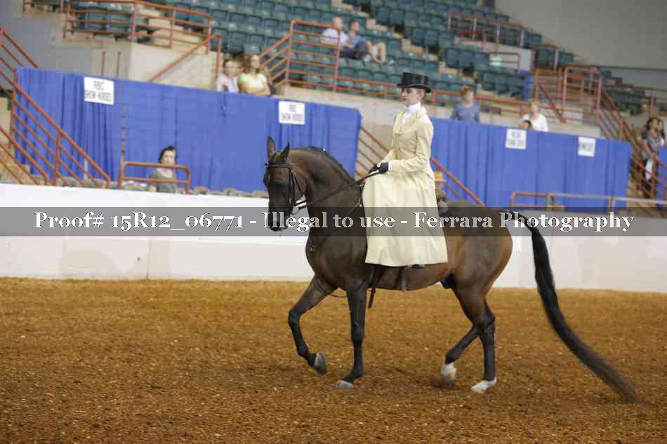 Proof 15R12_06771