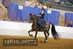 15R12_06773 proof