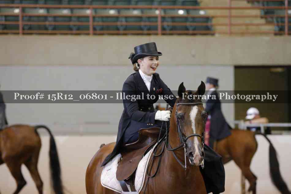 Proof 15R12_06801