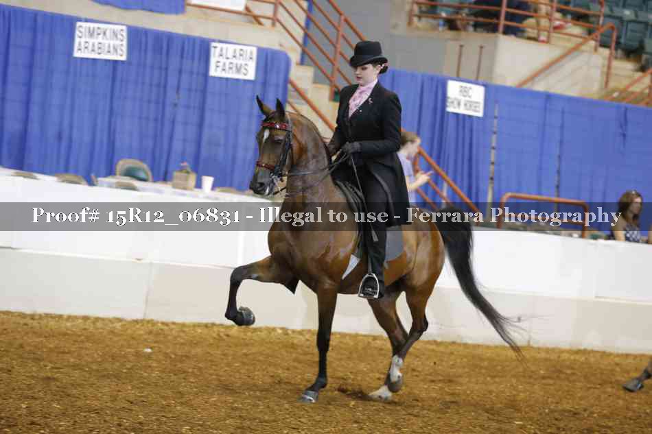 Proof 15R12_06831