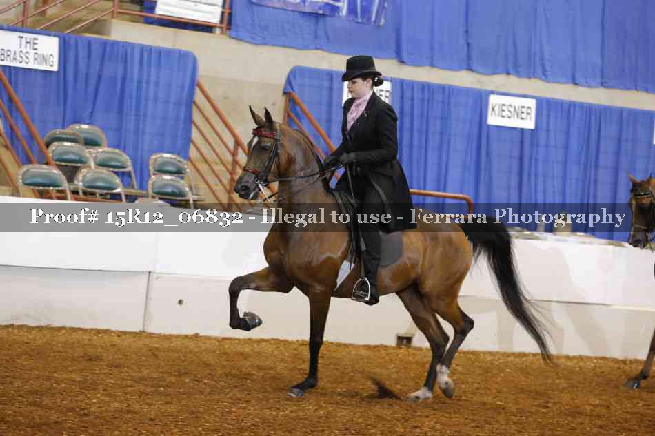 Proof 15R12_06832