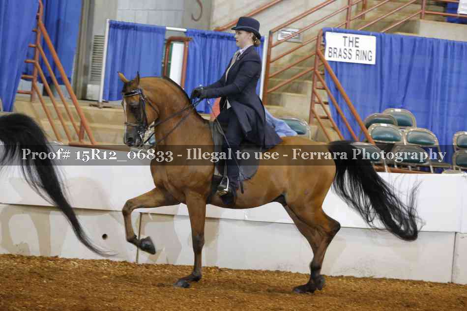 Proof 15R12_06833