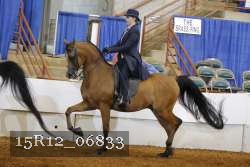 15R12_06833 proof