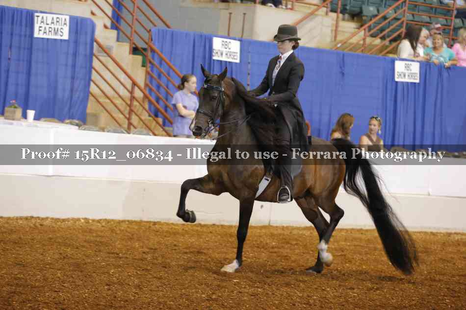 Proof 15R12_06834
